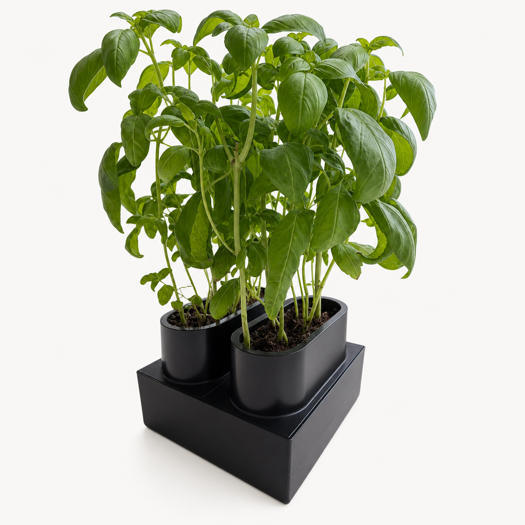 Full Growing System for AUK Mini 1 image 1